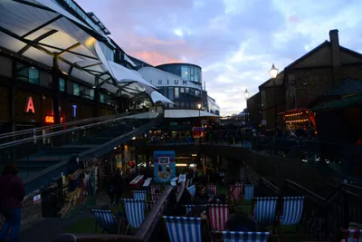 DSC_0447 (Large).JPG